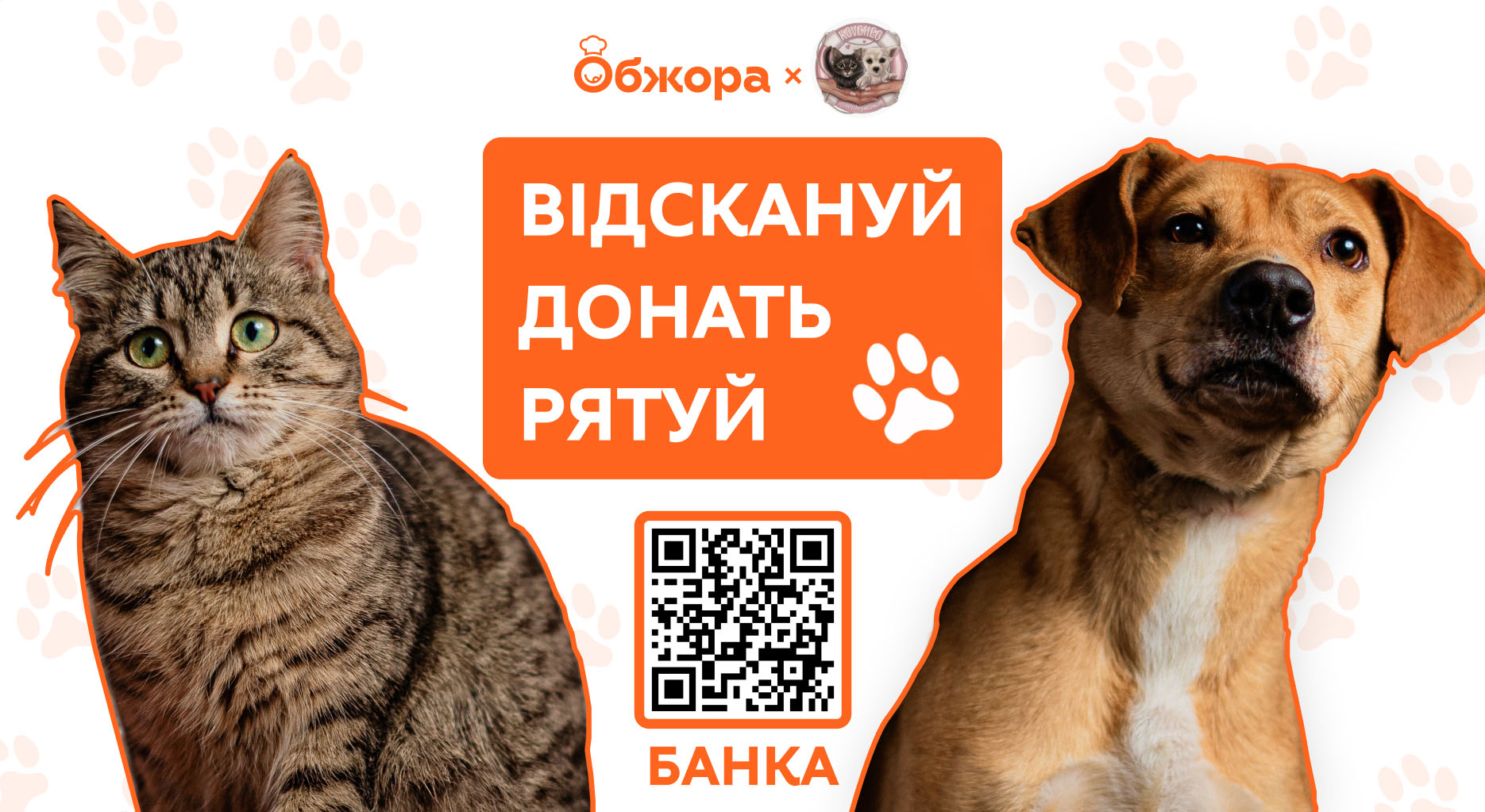«Пухнаста колаборація»: як «Обжора» допомагає притулку «Ковчег» і як долучитися кожному 🐾